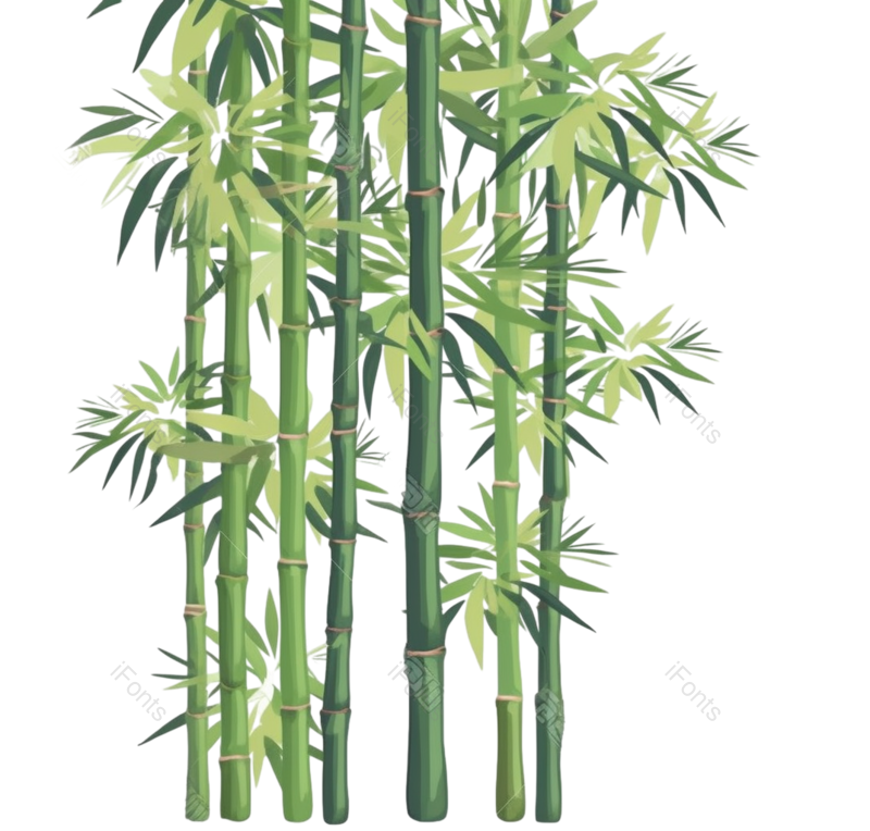 装饰图片,节日元素,插画PNG,竹子免抠素材